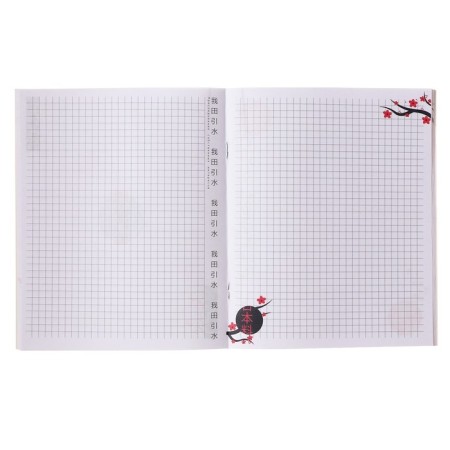 Notebook of 48 sheets in the cage "Anime. Boy and sky", covered cardboard, matte lamination, selective UV-polish, internal block design, offset-3