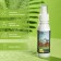 Grand Caratt Shanghai, white tea, 100 ml
