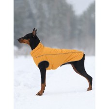 Winter vest on a zipper for dogs 
