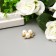 Decor for creativity plastic "Flower with pearls" set of 6 pcs 2x2 cm
