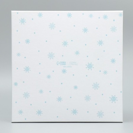 Gift Gift "Nutcracker", 22 x 22 x 12 cm, New Year-4