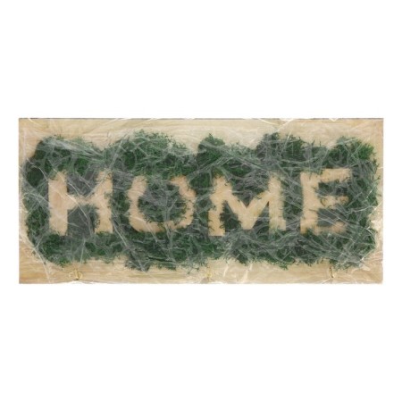The keyrean is wall -mounted with moss "Home".-6