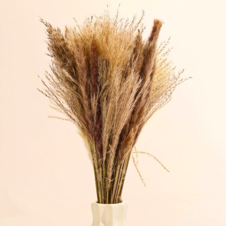Bouquet of dried flowers "amazement" height 47 cm.-1