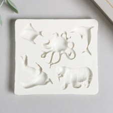 Mold Silicon 