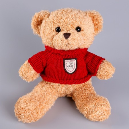 Soft toy "Bear" in the jacket, 28 cm, color mix-9