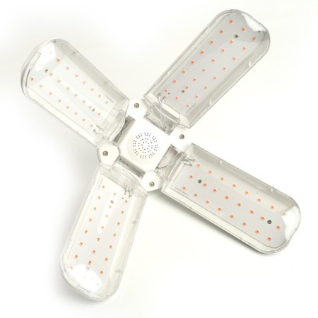 Feron, E27, 40 W, 175-265 V, pink lights lamp-8