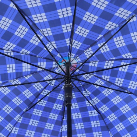Umbrella - a semiautomatic “cage” cane, 10 spokes, r = 60 cm, color mix-19