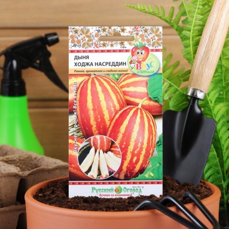 Semyon melon "Khoja Nasruddin", 5 pcs-2