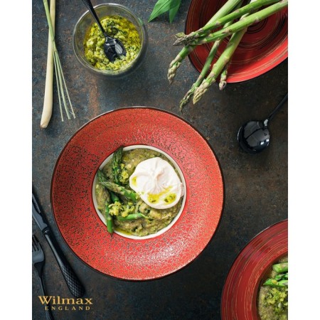 Porcelain plate for the paste Wilmax Splash, 250 ml, d = 27 cm, the color is red-3