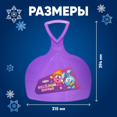 Ice Smeshariki "Fun Winter"-1