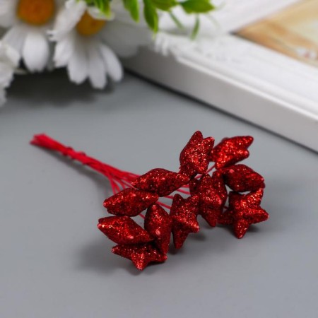 Decor for creativity "Asterisk in sparkles" (1 set = 1 bouquet) in a bouquet 12 pcs 10 cm-1
