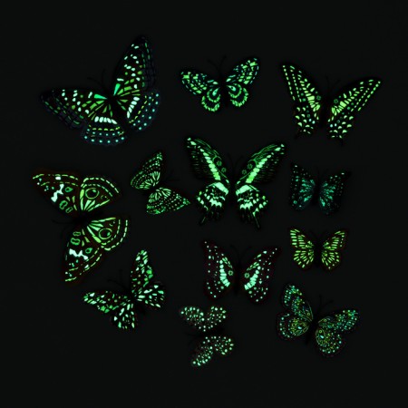 Set of interior stickers "butterflies", luminous-5
