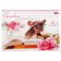Album for drawing A4, 16 sheets "charming puppies", covered cardboard, block 100 g/m2, mix 5 types