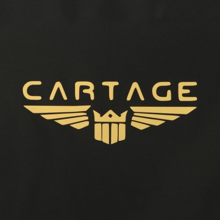 Cartage T-25, black, 30 l-5