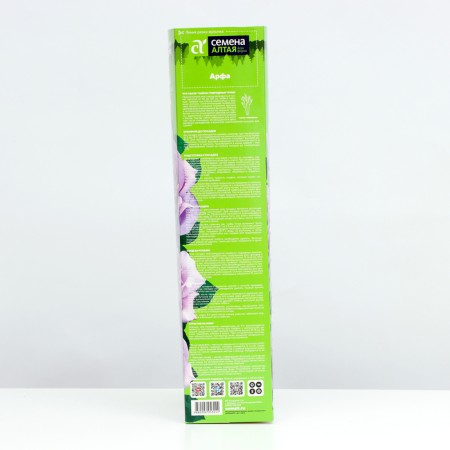 Seedling of tea-hybrid "harpa", 1 pc, spring 2024-2