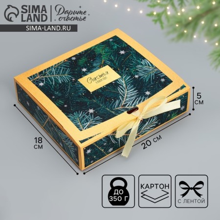 Gift Box "Happiness in the New Year", 20 x 18 x 5 cm, new year