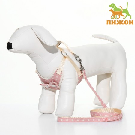 A set with a soft slope "peas", size m, leash 120 x 1.5 cm, og 34-66 cm, pink