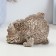 Figure "Owl peeps" beige, 6.5x8x9cm