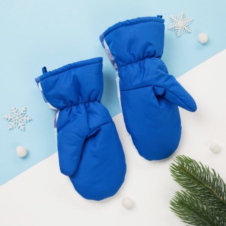 Mittens (mittens) Winter Patrol "Gonchik" rr 13 (3-4 years), blue-3