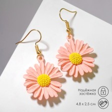 Earrings Metal 