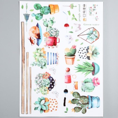 Interior plastic sticker "Cacti in pots" 50x70 cm-1