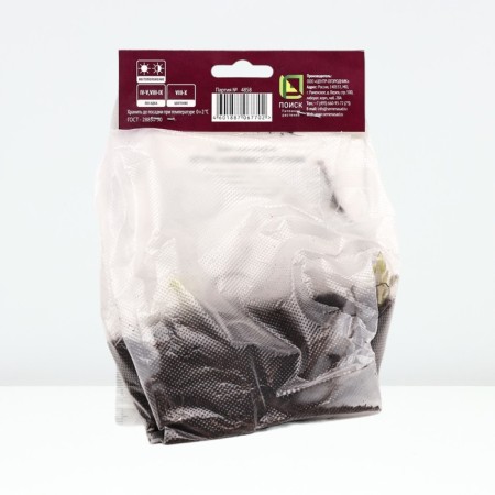 Astra New English Pyup Um, Rr. I, 1 pc, Spring 2025-1