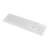 Keyboard Acer OKW123 White USB (zl.kbdee.00d)