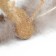 A toy for cats made of pressed cat mint "Butterfly", 7.5 cm