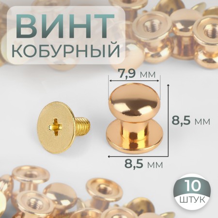 Kobury screw d = 7.9/8.5 × 8.5 mm, 10 pcs, the color of the gold