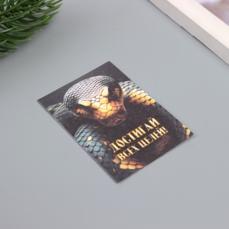 Postcard with the seeds "grow yourself" "Achieve all goals" 5*7cm-1