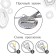 Nipple - orthodontic dummy, I love mum, with a cap, +6 months, white/silver, rhinestones