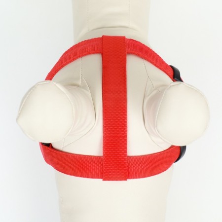 Shleika luminous size m, sling 2.5 cm, og 38-50 cm, 3 glow modes red-5