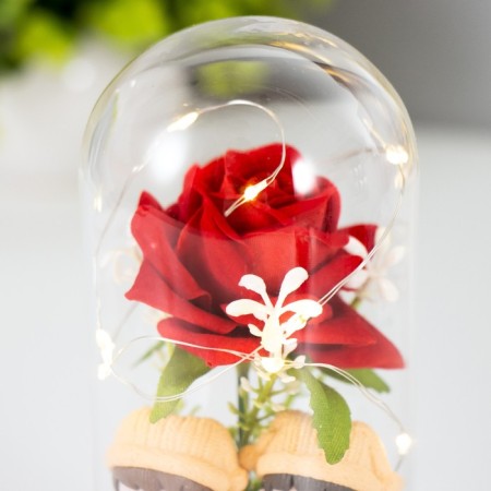 Night -night -night "Beautiful couple" LED from batteries LR44 8x8x16 cm Risalux-3
