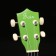 Foix fuel soprano, green