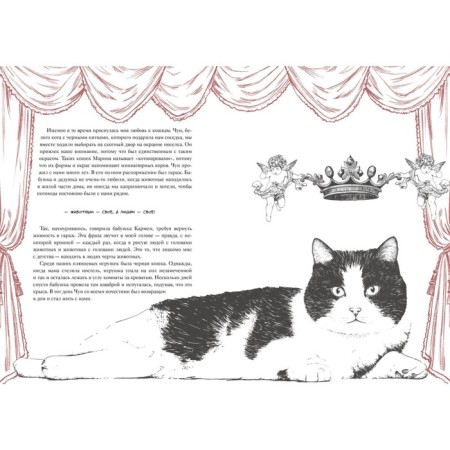 The story of a cat that has changed one life. Recognition of love. Agusty L.-4