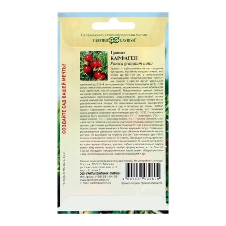 Seeds of indoor flower grenades "Carthage", 5 pcs.-3