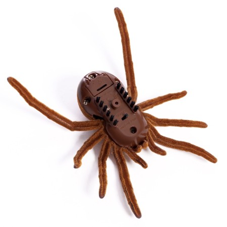 Tarantula bug, works from batteries-4