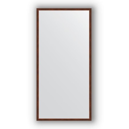 Mirror in the baguette frame - nut 22 mm, 48 x 98 cm, evoForm