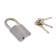 Hinged castle, 42x66 mm, 3 keys
