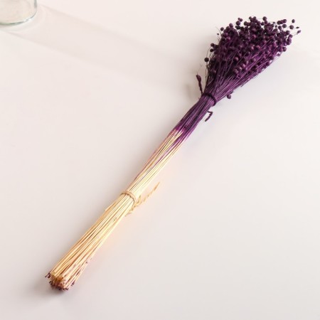 Set of dried flowers "Lenon-long", banch length 55-60 (+/- 6 cm), plum-3