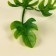 A branch of greens, size 1 pc. - 9 × 6 × 6 cm, set - 3 pcs.