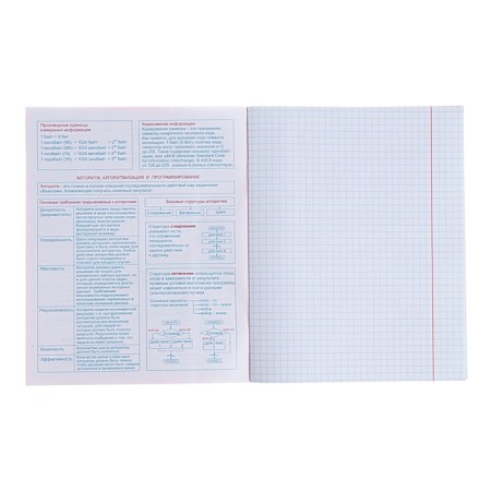 The subject “domino”, 48 sheets in the cage, “computer science”, plastic cover, offset block-2