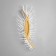 Bra "Wings" LED 24W 3000-6000K gold 50x20x15cm