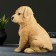 Garden figure "Labrador puppy" 17x12x20cm