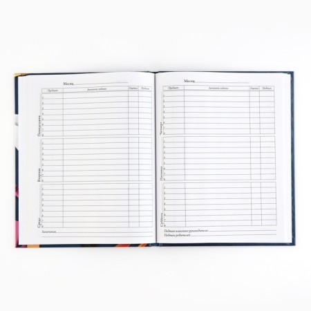 School diary 5-11 grade, in a solid cover, 48 liters. "Blue marble"-3