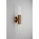Wall lamp (sconces) Brynia E14 14W