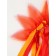 Carnival set "Clear Sun": rim, belt, ribbons, red-orange