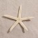 Sea star decorative, 10-16 cm