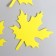 Foamir's blank "List of maple", 5x5cm, 10pcs, yellow set