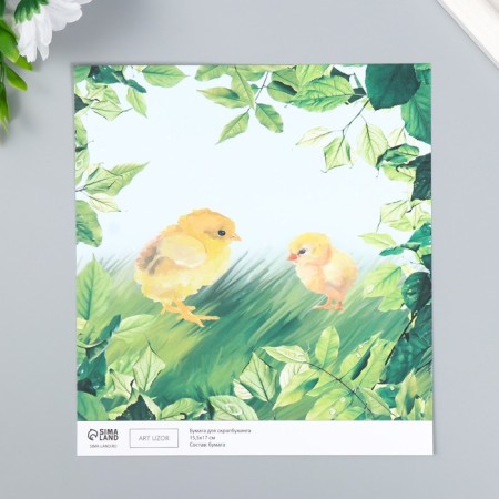 Scrapbooking paper bilateral "bunnies and chicken" density 180 g 15.5x17 cm-2